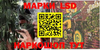 дмт Кандалакша