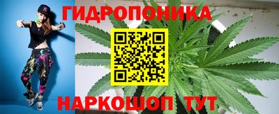 прущие грибы Бузулук